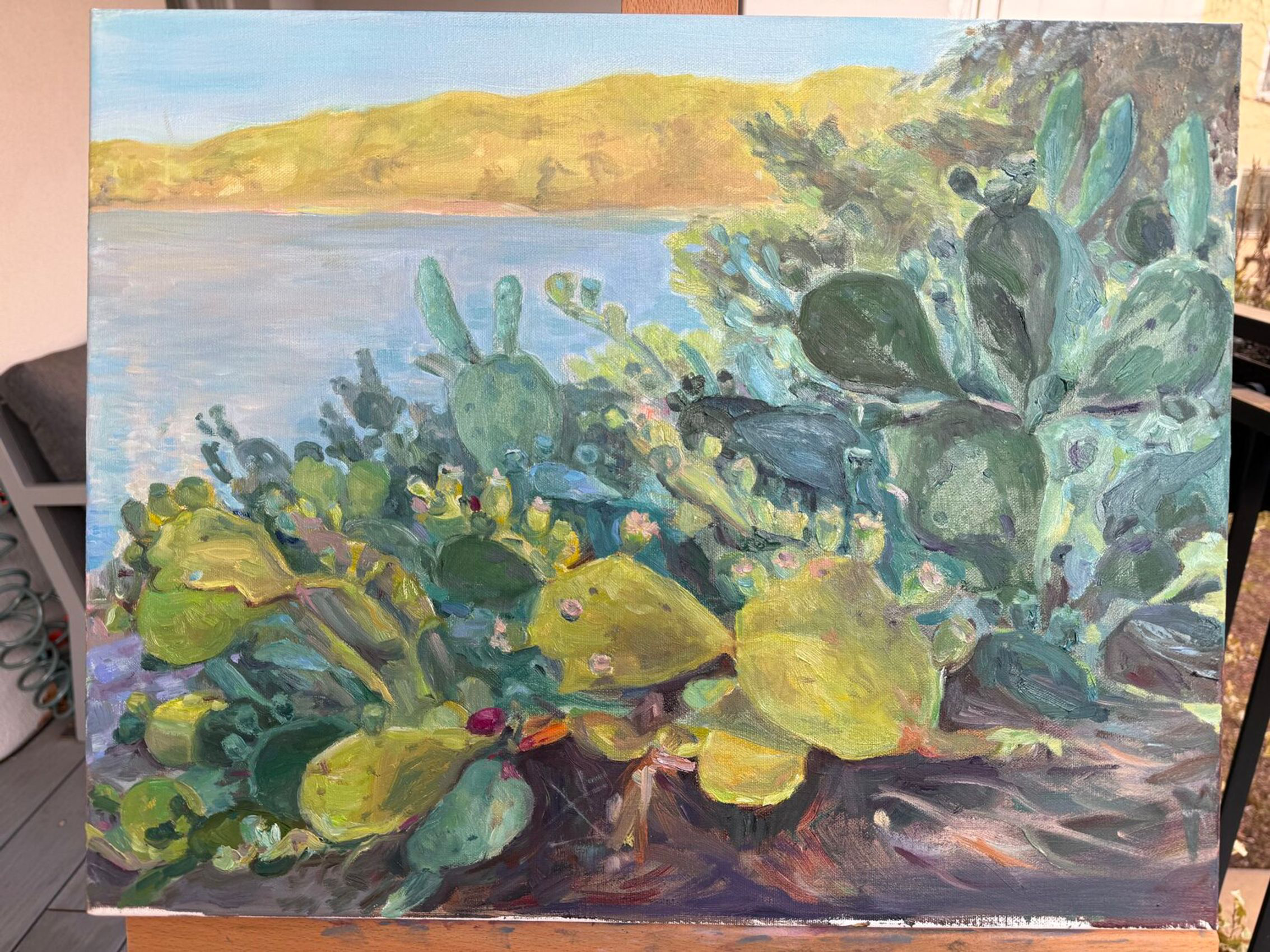 Cactus Serenade - view 5