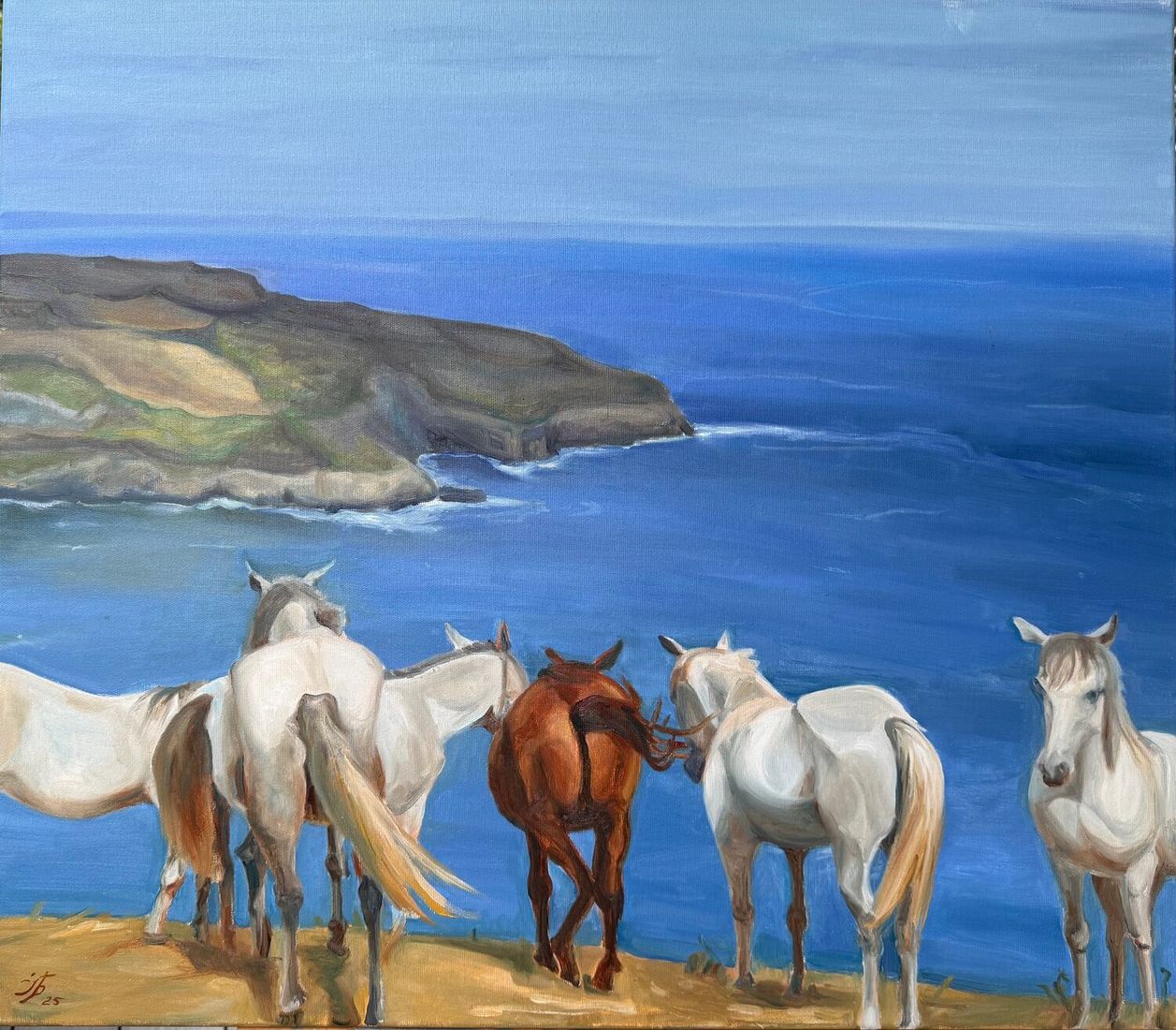 Dont push the horses - view 5