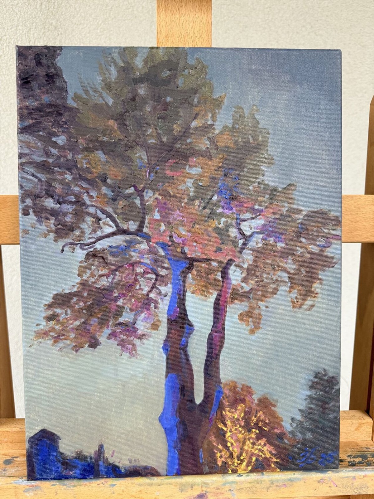 Evening Light at Christmas - view 3