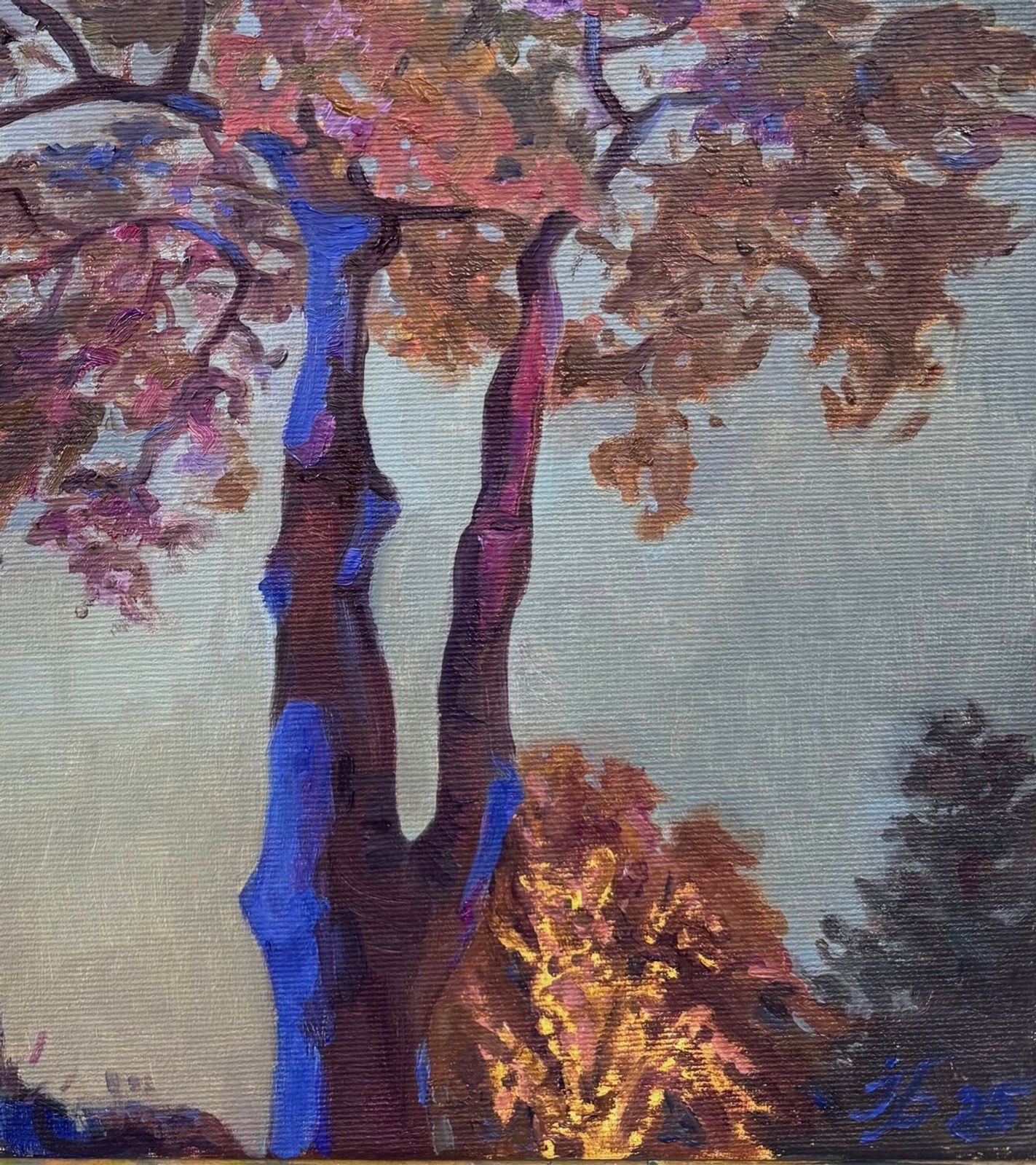 Evening Light at Cristmas - view 4