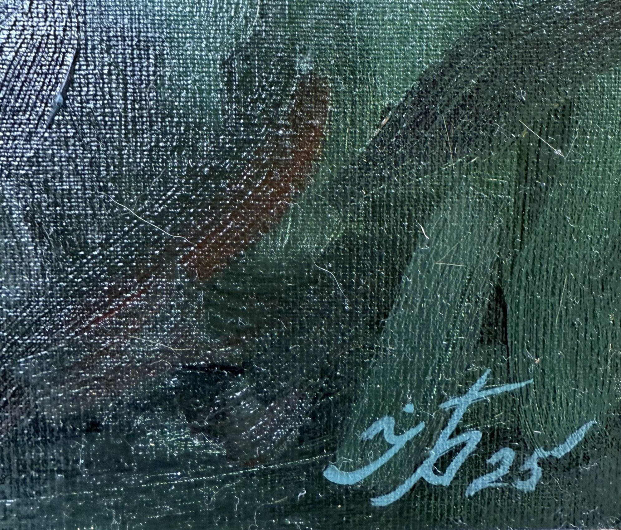 Evening over Gaal - view 2