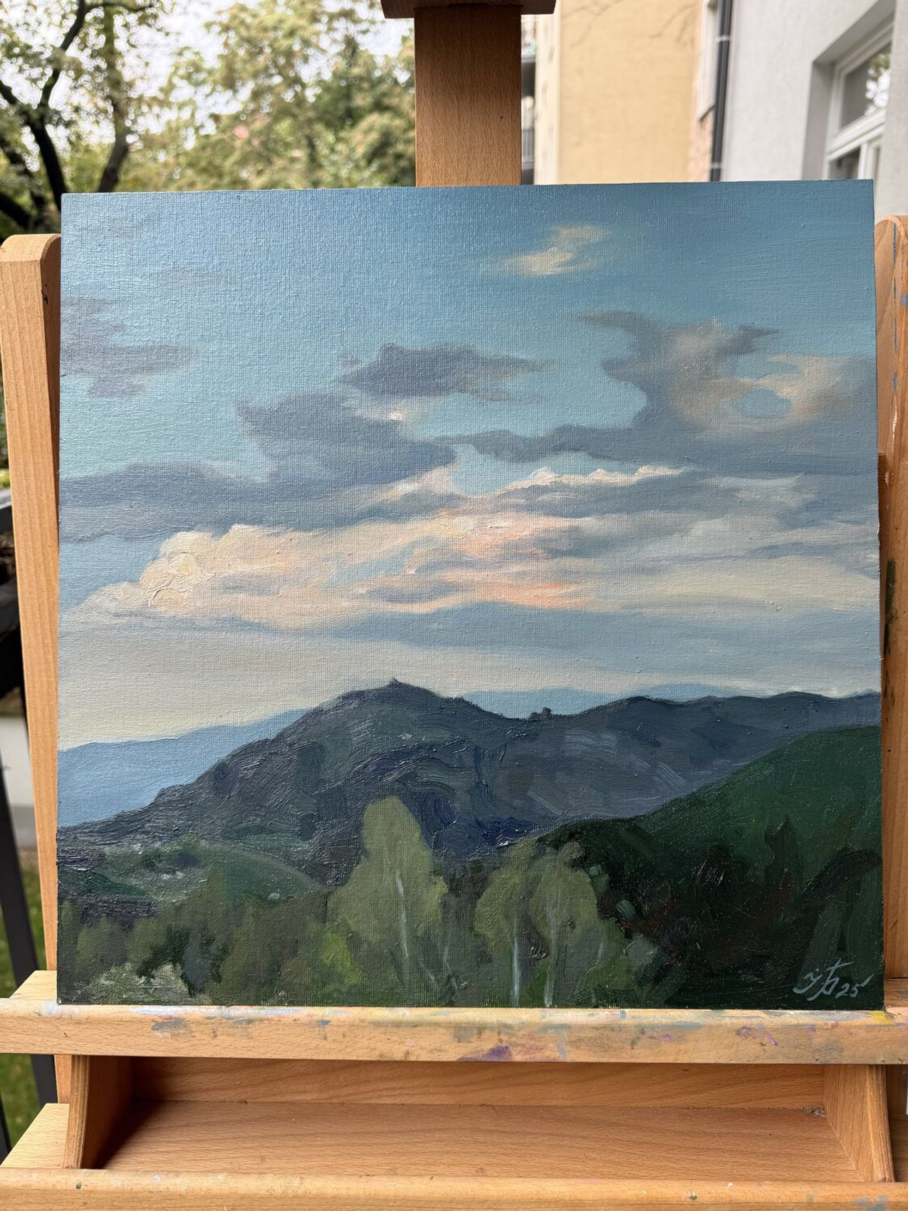 Evening over Gaal - view 3