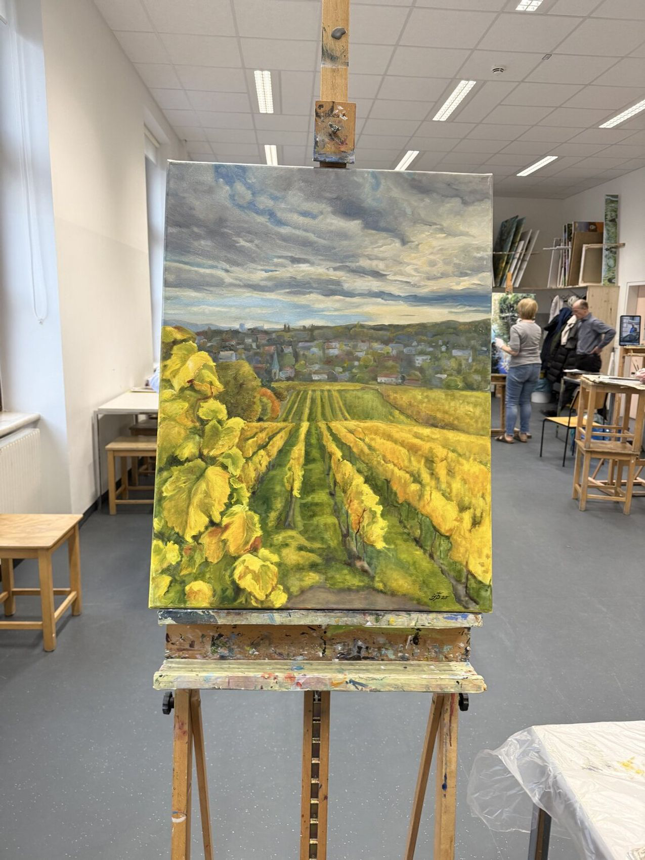 Golden Vineyards of Vienna - view 5