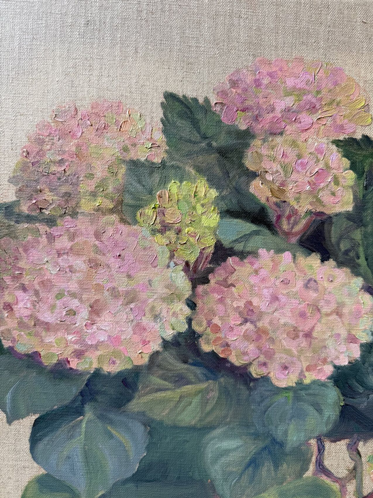 Hydrangea Stillness - view 5