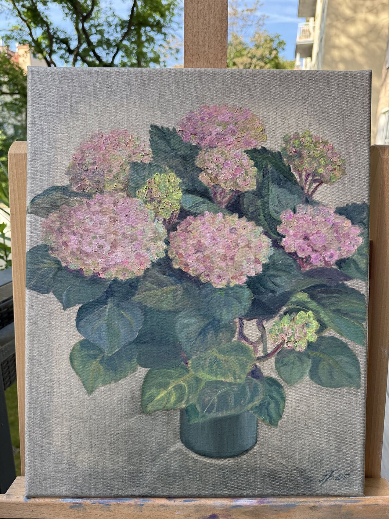 Hydrangea Stillness - view 6