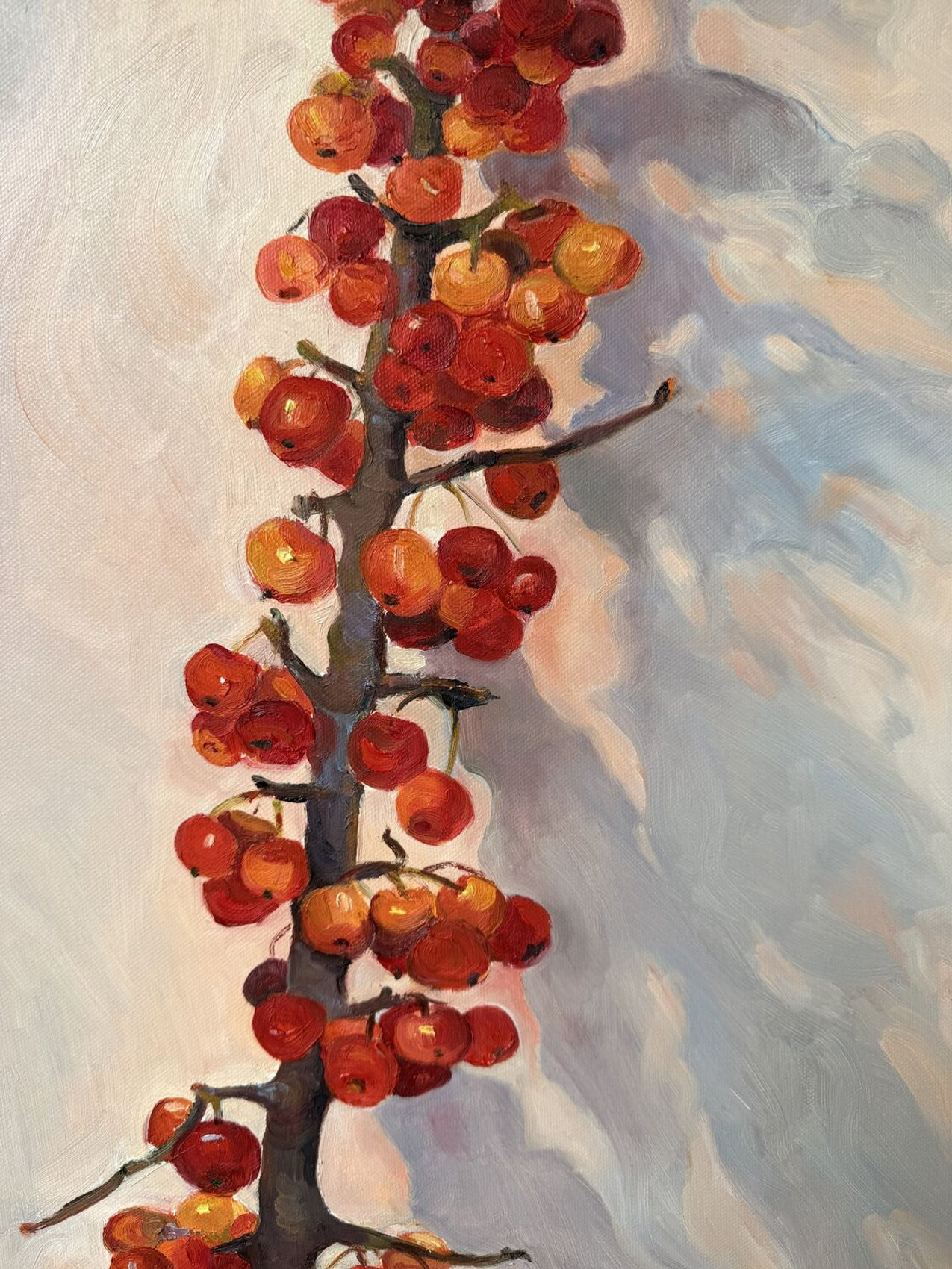 Paradise Apples - view 4