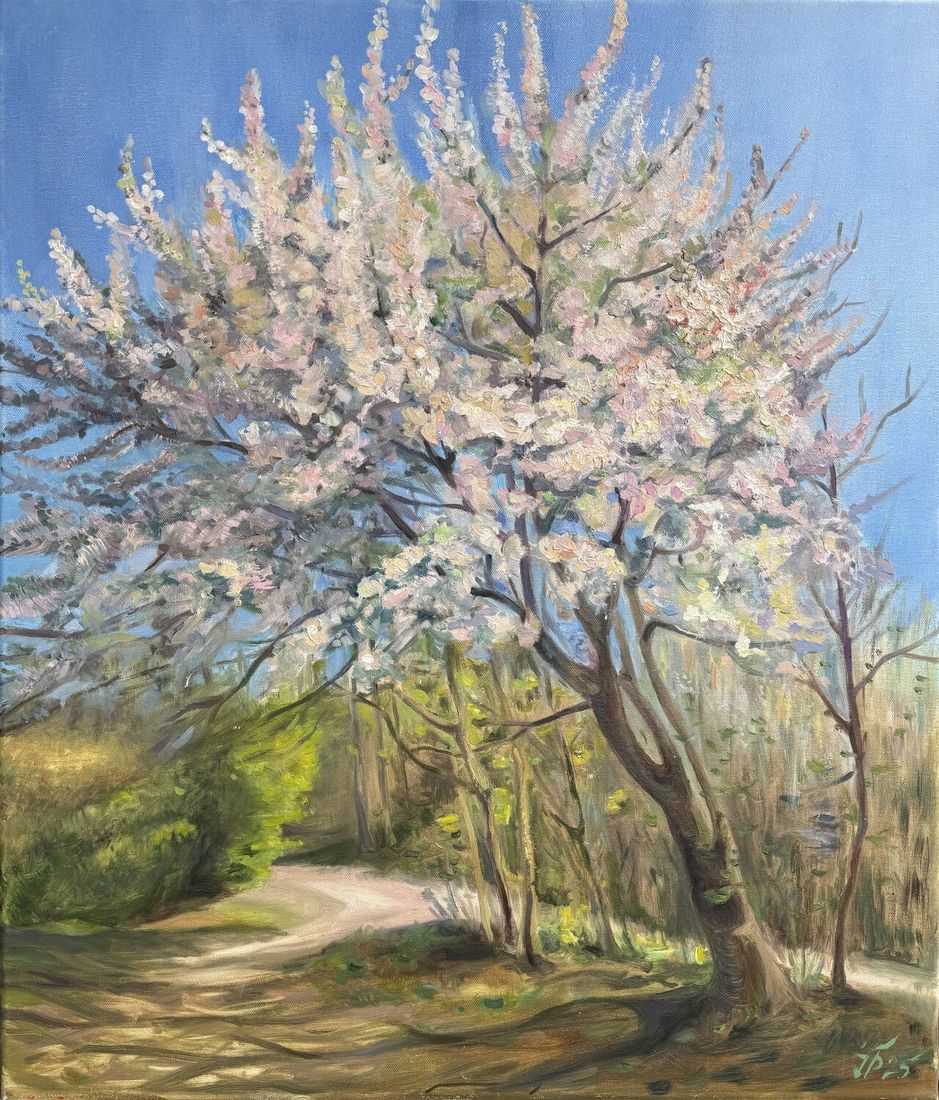 Spring in Blossom - view 5