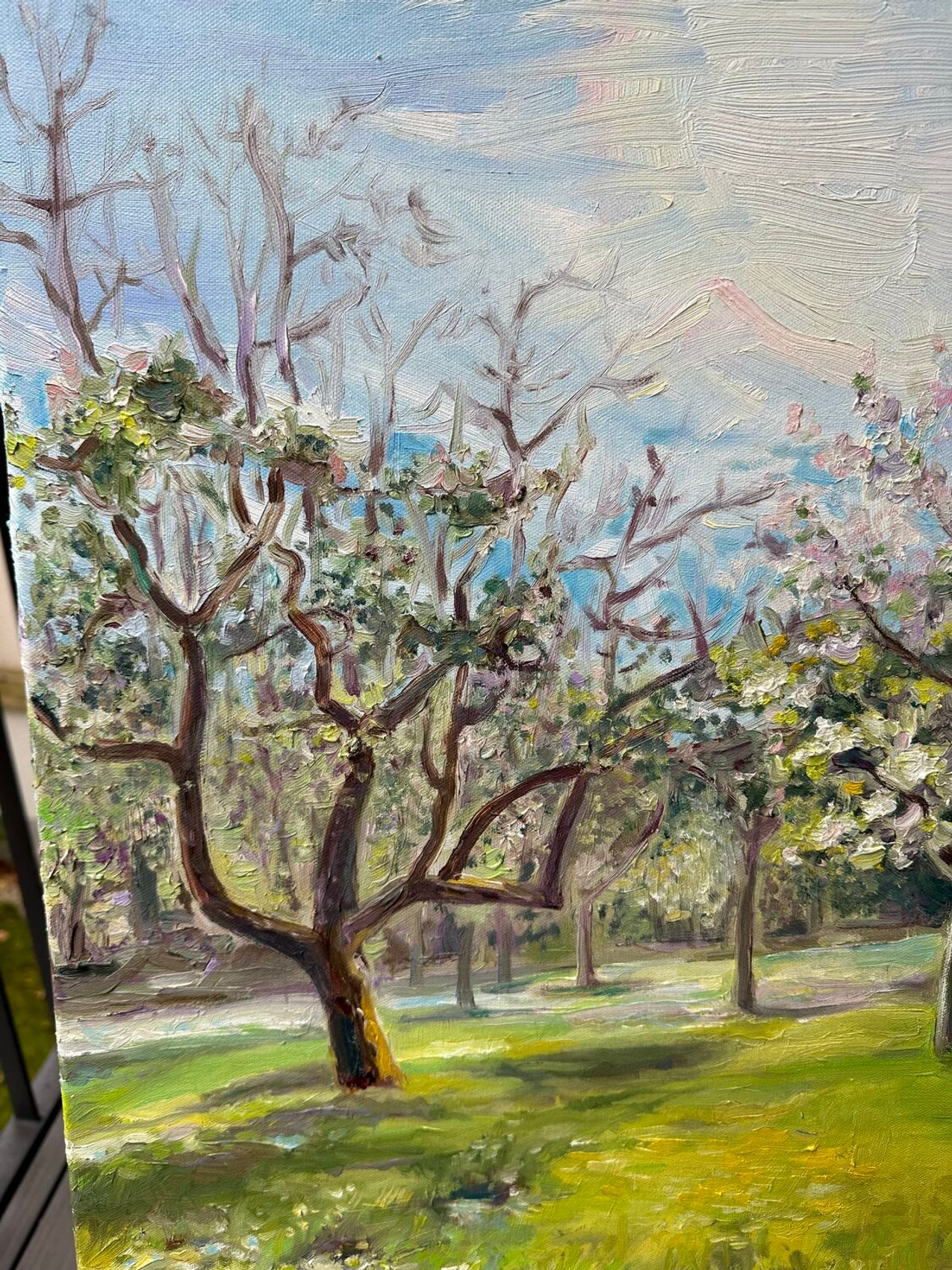 Spring in Vienna - view 2