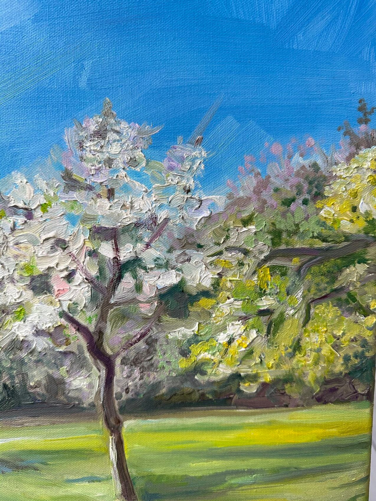 Spring in Vienna - view 4