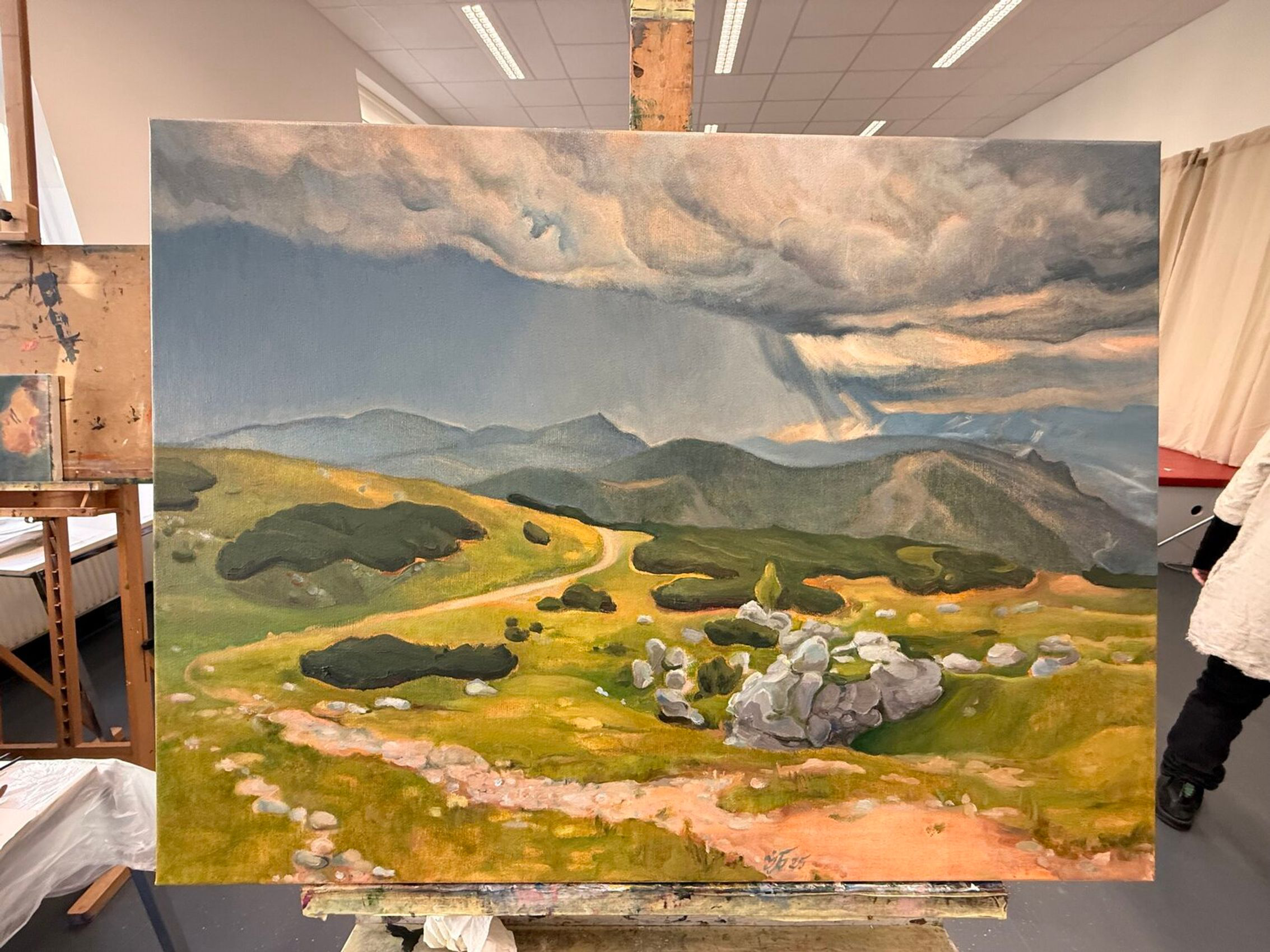 Stormlight Over the Mountain Path - view 3