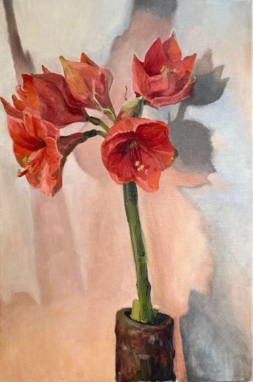 Sunlit Amaryllis - view 4