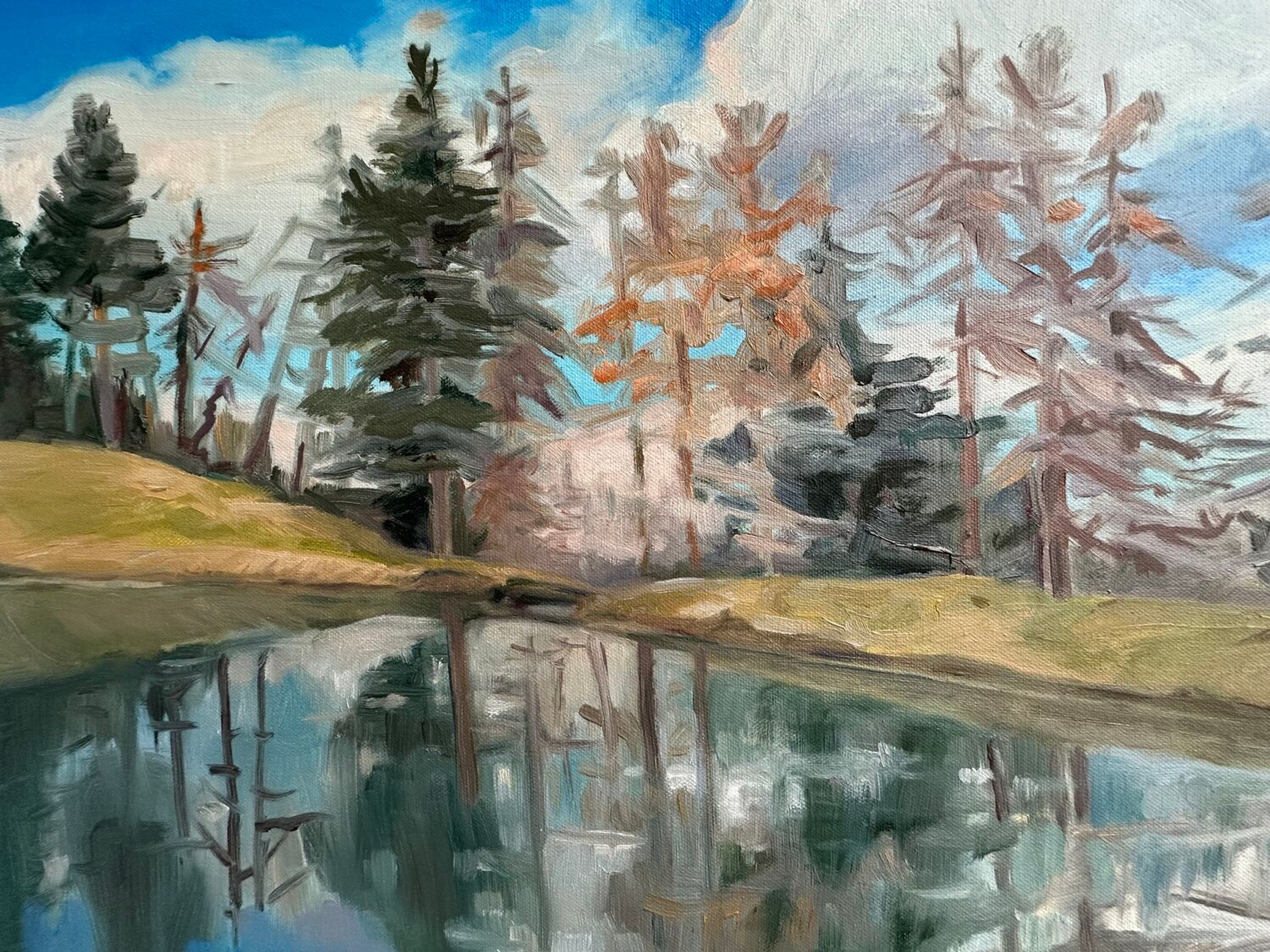 The Alpine Lake - view 4