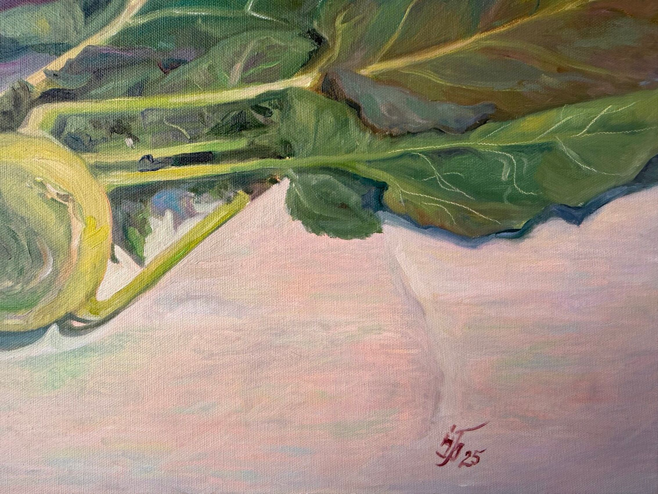 Two Kohlrabi - view 7